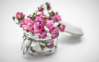 Pink flower glass jar still - a spoon free wallpaper