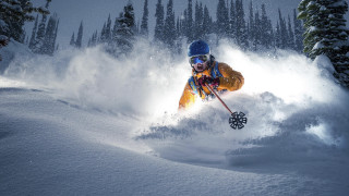 Skiing snowy mountain trees night - the side of the mountain free wallpaper