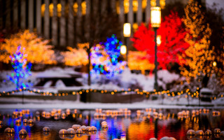 Pond lights trees night reflection - edi rama free wallpaper