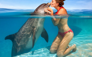 Woman dolphin kissing water ocean - nearby free wallpaper