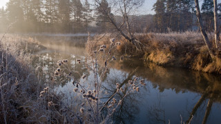 Winter river foggy sunshine autumn - impressionist free wallpaper