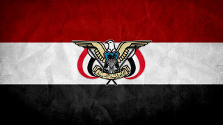 Flag bird seal image description - a seal free wallpaper