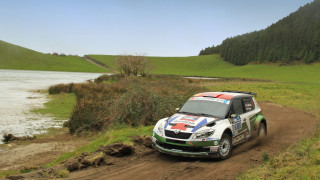 Rallycar dirtroad lake grass trees - the side of the road free wallpaper