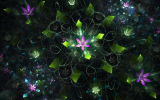 Flower psychedelic fractal hologram butterfly - the petal free wallpaper