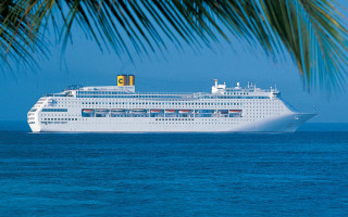 Cruise ship ocean palm tree 3 - flavia bloi free wallpaper