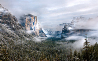 Mountain range valley forest snowy 2 - a forest below free wallpaper