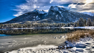 Snowy mountains lake birds forest - a few bird free wallpaper