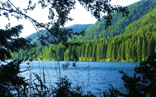 Lake mountains trees clouds park - tree and mountains free wallpaper
