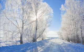 Snowy road trees blue sky 2 - a road free wallpaper