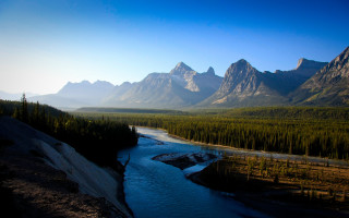 River forest mountain lake pine - both side free wallpaper