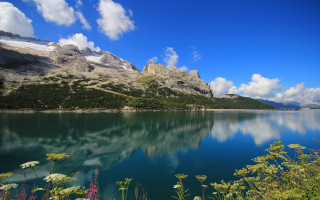 Mountain lake reflection wildflowers landscape - wildflower free wallpaper