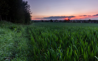 Sunset grass horizon clouds mountain - grass free wallpaper
