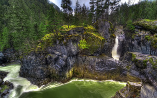 Waterfall forest green river nature - a waterfall in a forest free wallpaper