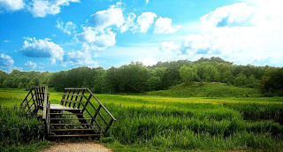 Wooden bench field trees sky - grass and trees free wallpaper