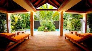 Covered patio pool trees plants - covered free wallpaper