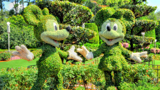 Green plants with faces park - a park area free wallpaper
