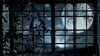 Full moon window bars gothic - a tree in the foreground free wallpaper