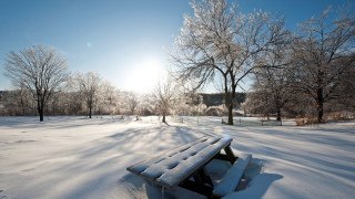 Snowy park bench trees blue - regionalism free wallpaper