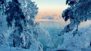 Snowy landscape trees water clouds - tree and a body of water free wallpaper
