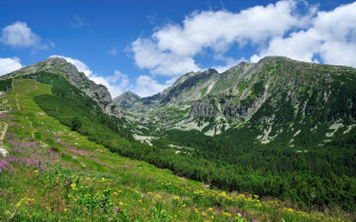 Mountain meadow flower clouds blue - murata range free wallpaper
