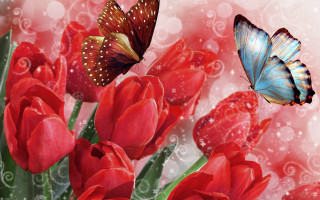 Butterfly red flowers swirly background - red flower free wallpaper