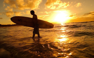 Surfing man sunset ocean beach - a surfboard free wallpaper