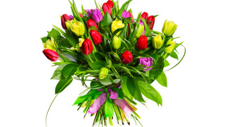 Colorful tulips flowers vase white - other flower free wallpaper