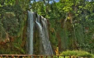 Large waterfall forest wooden bridge - lush free wallpaper