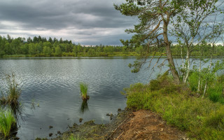 Lake tree clouds arkhip kuindzhi - the distance free wallpaper