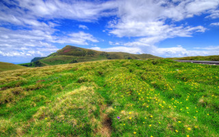 Grassy field yellow flowers mountain 2 - a grassy field free wallpaper
