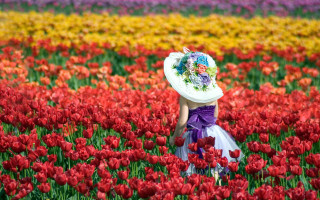 Flower field purple dress girl - impressionist painting free wallpaper