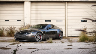 Black car garage door plant - a black car free wallpaper