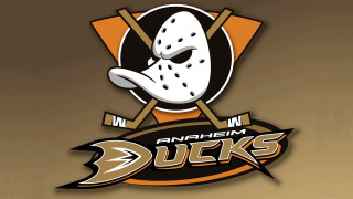 Hockey mask sticks anaheim ducks - bernie d’andrea free wallpaper
