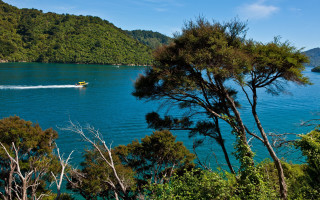 Lake mountains trees boat scenery - tree and mountains free wallpaper