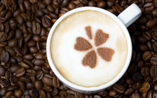 Coffee flower beans spoon morning - a spoon free wallpaper