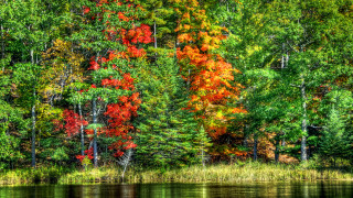 Lake fall colors reflection impressionist - color free wallpaper