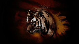 Tiger feather tail digital painting - a tiger free wallpaper