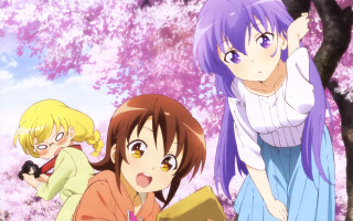 Anime girls cherry blossoms park - cherry blossom free wallpaper
