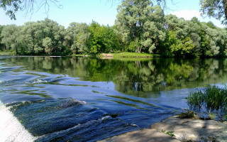 Danube island trees grass clouds - a small island in the middle of it free wallpaper