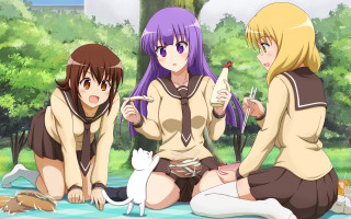 Anime girls blanket cat sitting - a cat in front free wallpaper
