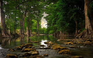 Mossy river forest rocks nature - mossy free wallpaper