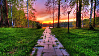 Grassy path sunset cherry blossoms - allan linder free wallpaper