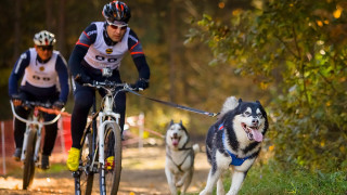 Man bike dog leash outdoors - a path free wallpaper
