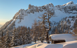 Snowy mountain cabin trees winter 2 - coppo di marcovaldo free wallpaper
