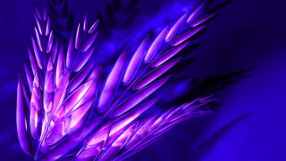 Purple flower blue background purple - a purple flower free wallpaper