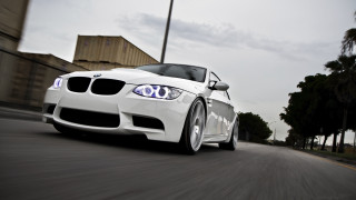 White car driving street palm - a cloudy day free wallpaper