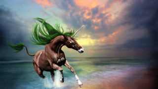 Horse green hair beach sunset - sunset free wallpaper