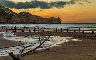 Beach tree branch rock sunset - sunset free wallpaper