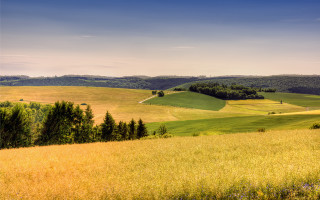 Grassy field trees hills blue - tree and hills free wallpaper
