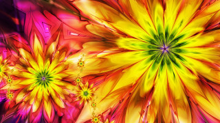 Colorful flower yellow center purple - digital art free wallpaper